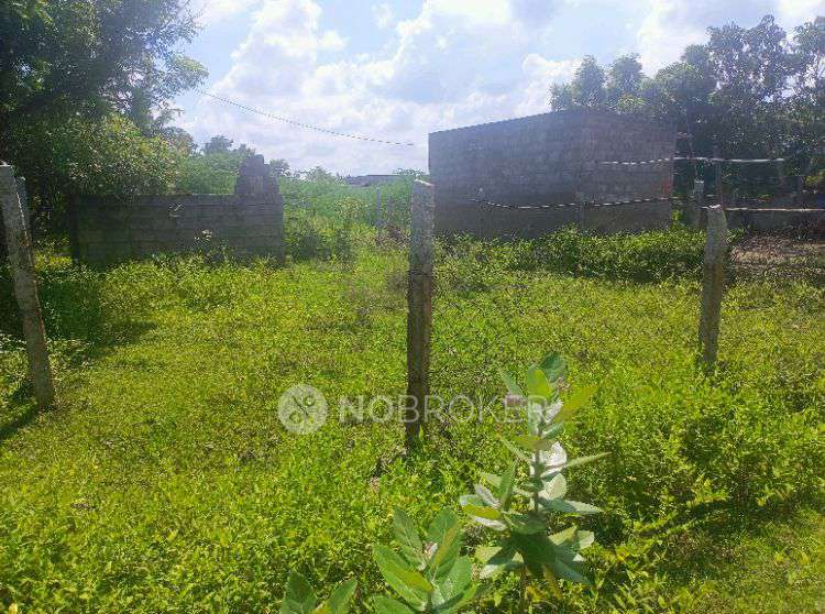 Plot For Sale  In Kamatchi Nagar (nemeli Groups )  In Poongavanapuram
