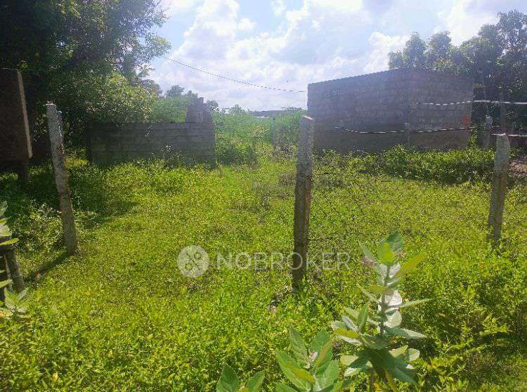 Plot For Sale  In Kamatchi Nagar (nemeli Groups )  In Poongavanapuram