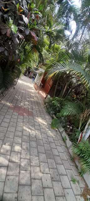 Plot For Sale  In 2h4j+pgf, Sadashiva Nagar, Armane Nagar, Bengaluru, Karnataka 560080, India