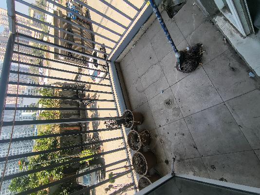 3 BHK Flat In Godrej Hillside 1 for Rent  In Mahalunge