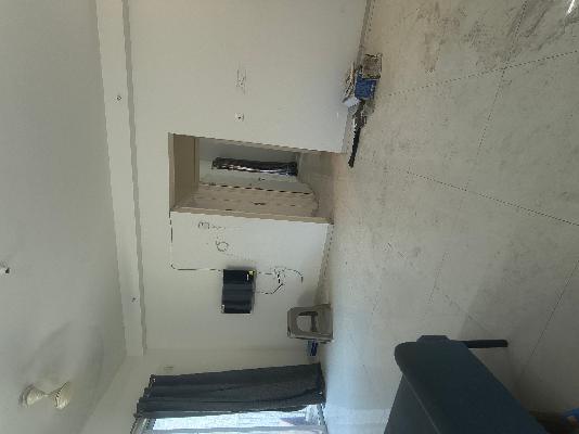 3 BHK Flat In Godrej Hillside 1 for Rent  In Mahalunge