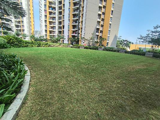 2 BHK Flat In  Joyville  for Rent  In Hinjewadi