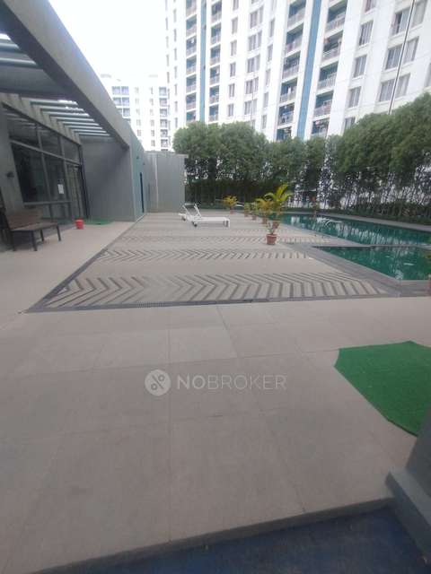 2 BHK Flat In Megapolis Symphony for Rent  In Hinjawadi