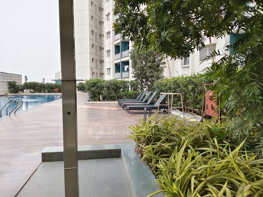 2 BHK Flat In Megapolis Symphony for Rent  In Hinjawadi