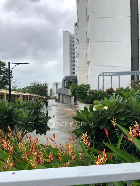 2 BHK Flat In Megapolis Symphony for Rent  In Hinjawadi