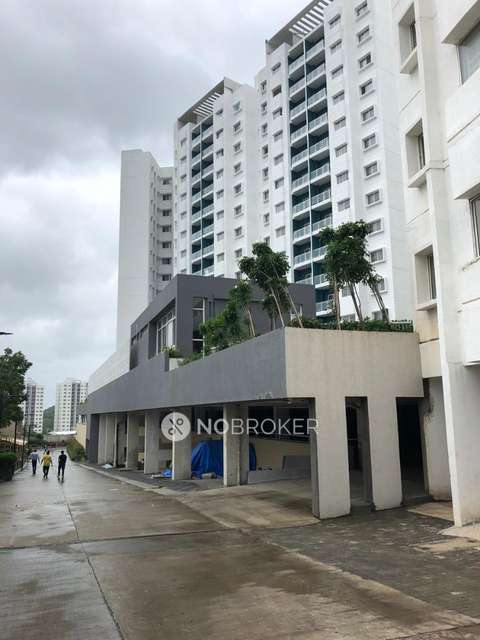 2 BHK Flat In Megapolis Symphony for Rent  In Hinjawadi