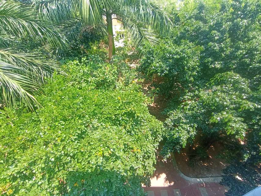 3 BHK Flat In Padmalaya For Sale  In Ponniamanmedu 