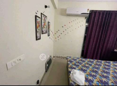 3 BHK Flat In Amrapali Princely Estate For Sale  In Sector-76