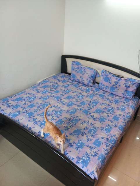 2 BHK Flat In Js Carnation For Sale  In Kalkere