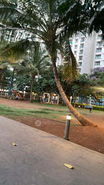 3 BHK Flat In Sangria Towers for Rent  In Hinjawadi