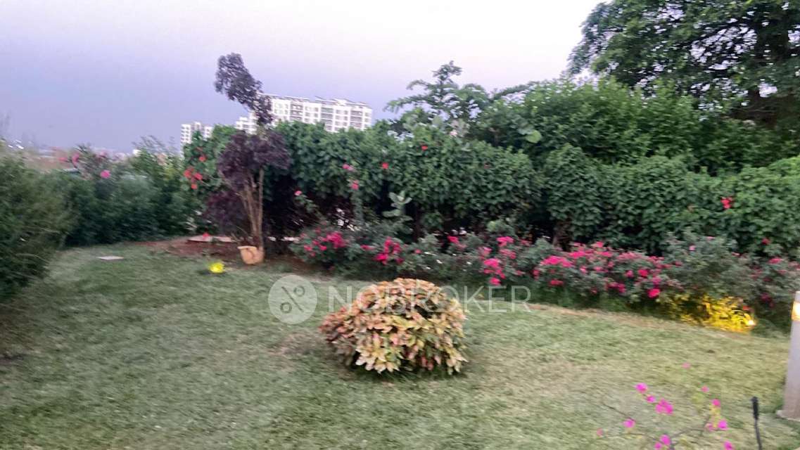 3 BHK Flat In Sangria Towers for Rent  In Hinjawadi