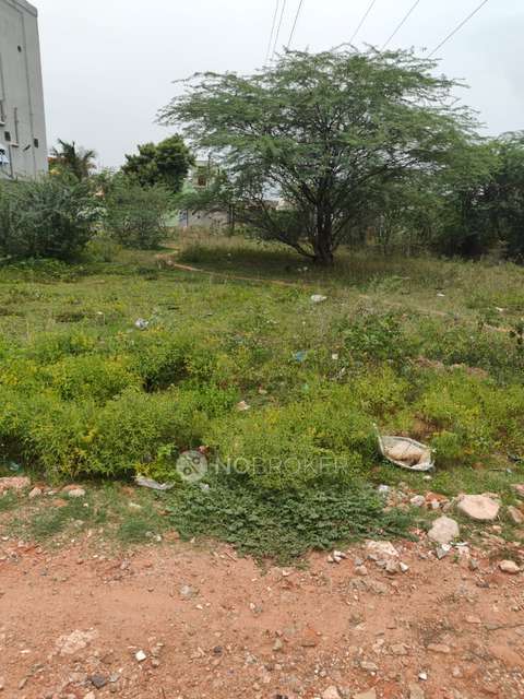 Plot For Sale  In Morai