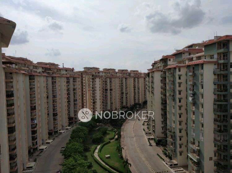 AWHO Sandeep Vihar AWHO Sandeep Vihar Rent WITHOUT BROKERAGE Semi