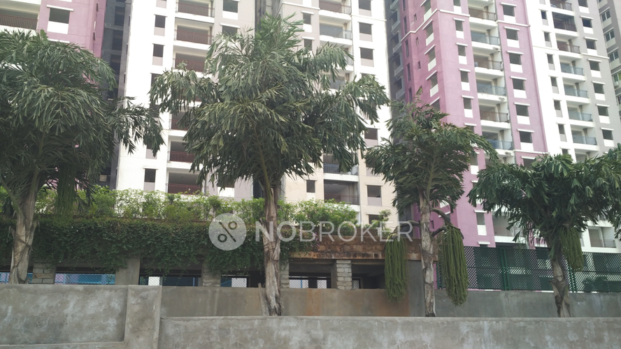 Prajay Megapolis Kukatpally Rent WITHOUT BROKERAGE Semifurnished 3