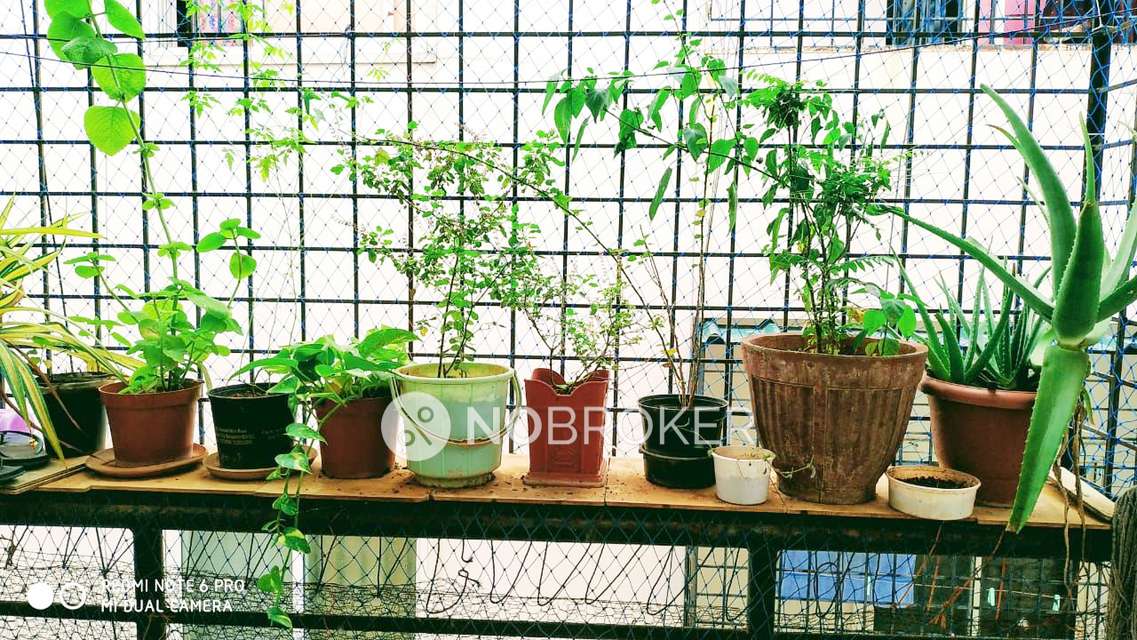 2 BHK Flat In Prabhavathi Meridian For Sale  In Electronic City