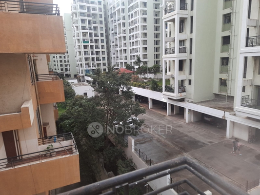 1 BHK Flat In Solitaire Paradise for Rent  In Wakad