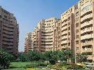 3 BHK Flat For Rent In Unitech Heritage City In Sector-25