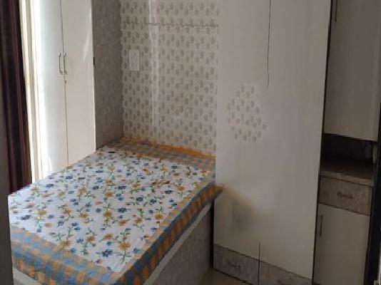 2 BHK Flat In Shivshankar Radhika Royale for Rent  In Dhayari