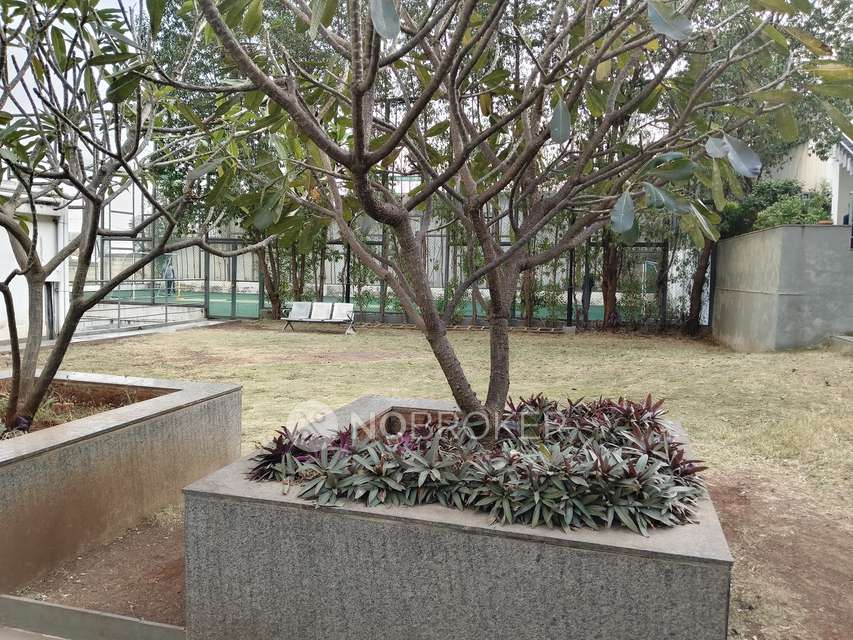 2 BHK Flat In Itrend Homes for Rent  In Hinjewadi