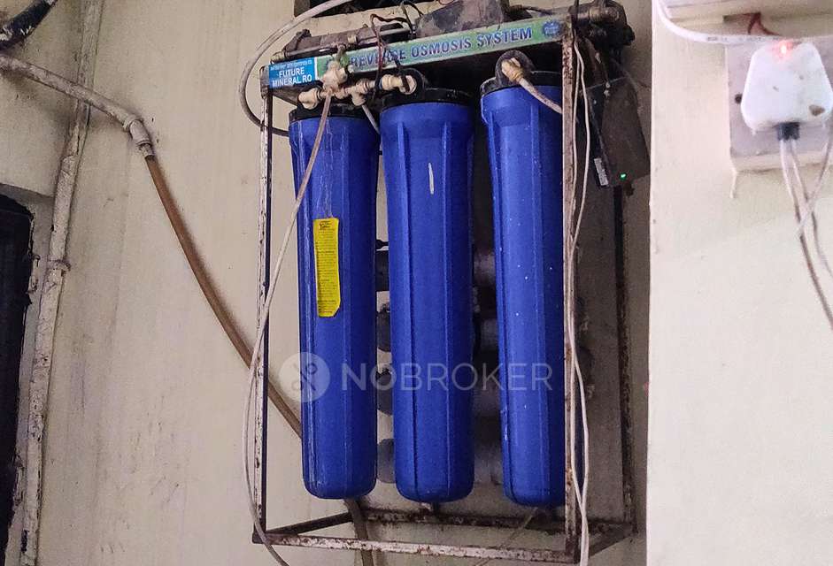 PG for Girls in Shalimar Bagh