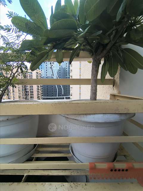 3 BHK Flat In Nirala Estate For Sale  In Techzone 4 Greater Noida West