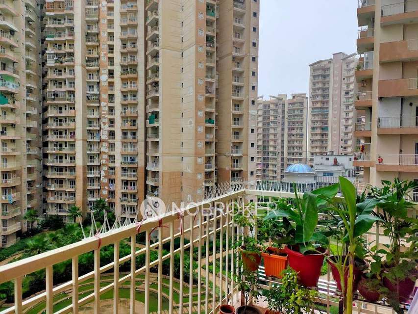 3 BHK Flat In Ajnara Homes For Sale  In Sector 16b