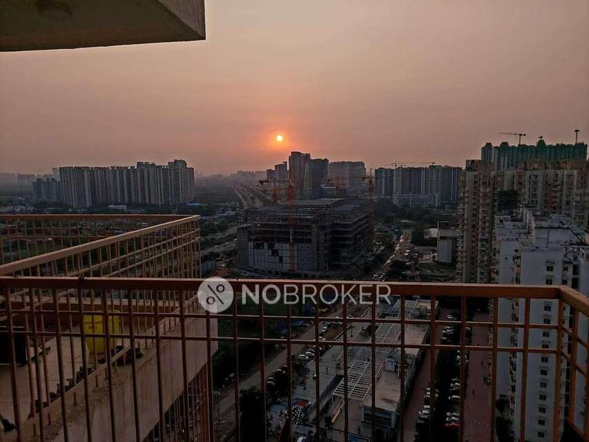 3 BHK Flat In Ajnara Homes For Sale  In Sector 16b