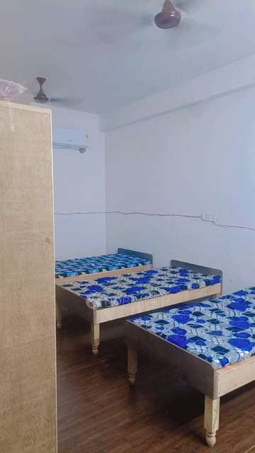 PG for Boys in Sector 63, H-block