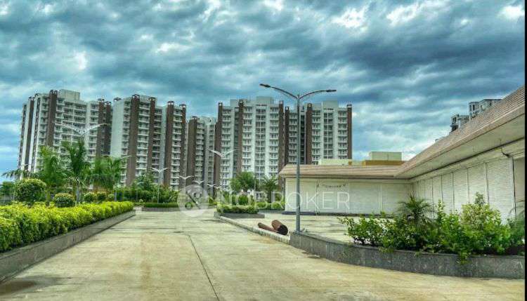 Single Room for Female In 2 BHK  In Police Officer Multi Coperative Society Sector 49 Faridabad In Sector 49