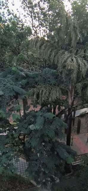 3 BHK Flat In Abhishek for Rent  In Nigdi