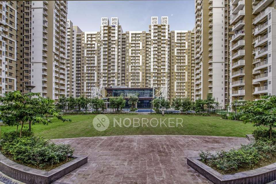 3 BHK Flat In Mahagun Mywood  for Rent  In Sector 16c