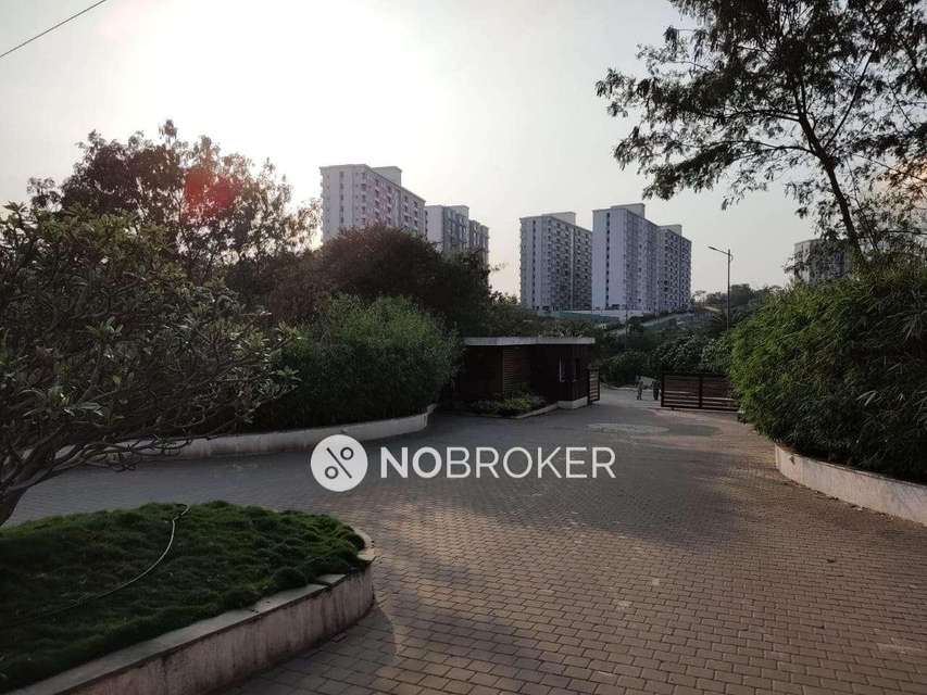 1 BHK Flat In Xrbia Talegaon Ambi for Rent  In Talegaon Dabhade