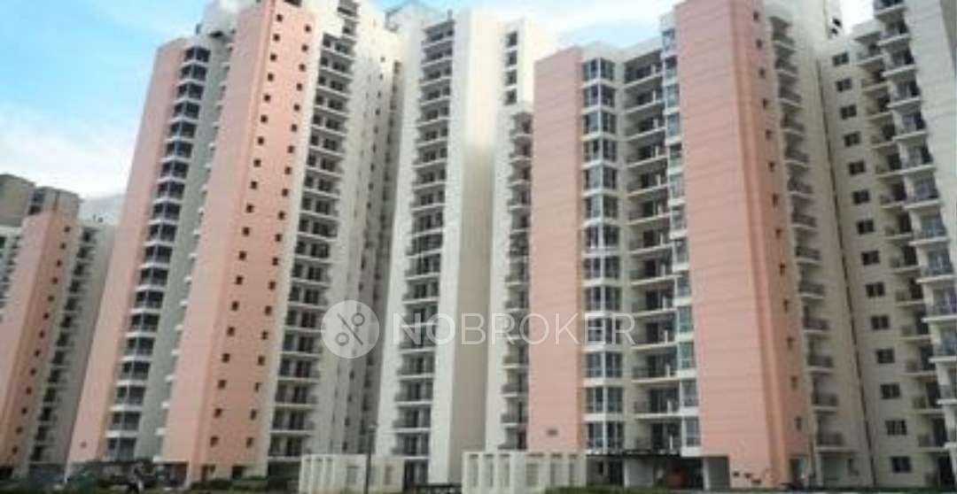 Single Room for Male In 3 BHK  In Aman In Sector 76
