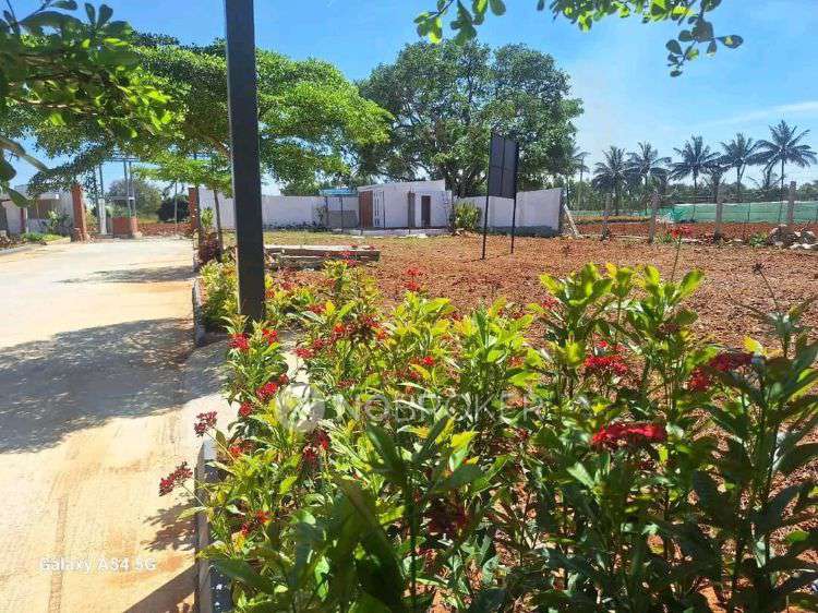 Plot For Sale  In Kns Bhavathisilverwoods In Anekal