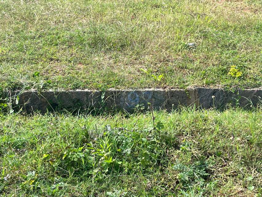 Plot For Sale  In Ayushmanbava  In Ayushmanbhava Layout