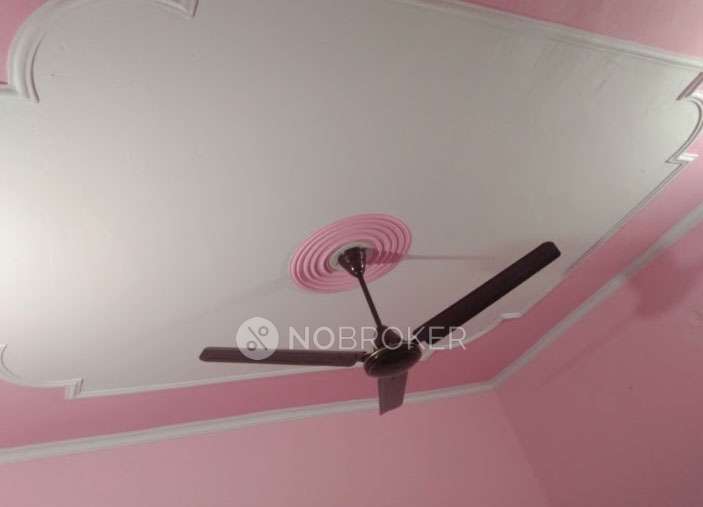 PG for Boys in Sector 66