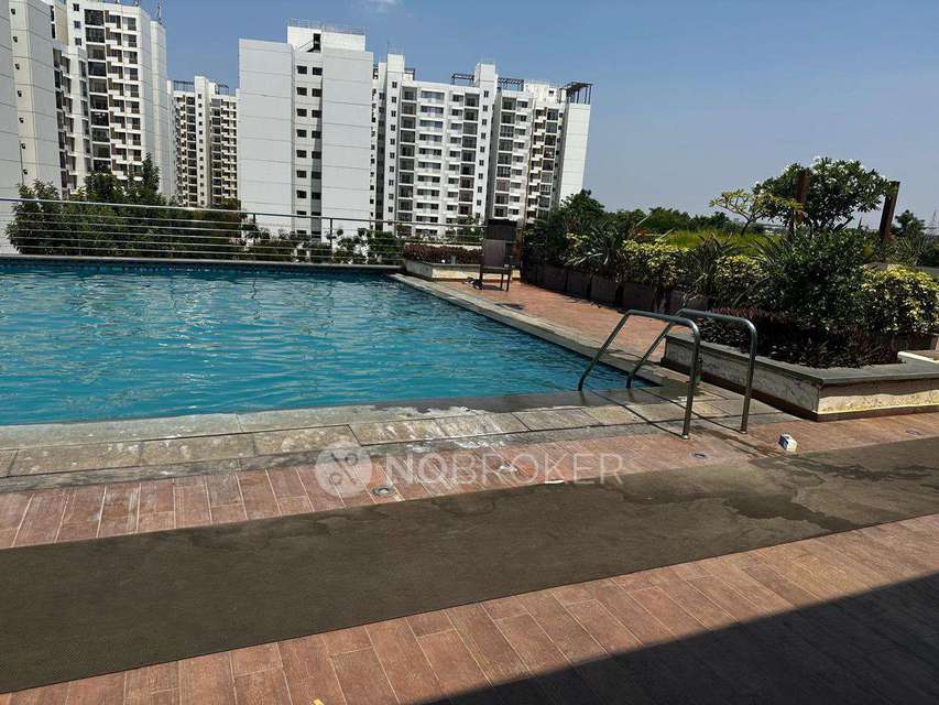 3 BHK Flat In Tata New Haven For Sale  In Dasanapura Hobli