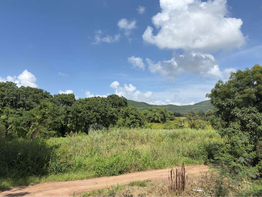 Plot For Sale  In Pawar Land  In Urse