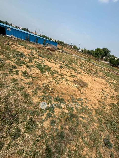 Godown/Warehouse in Sector - 59, Gurgaon for Rent 