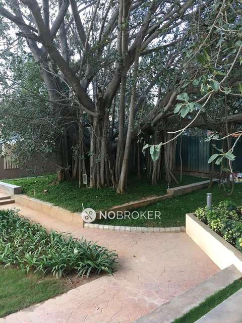 1 BHK Flat In Brigade Buena Vista For Sale  In Bommenahalli