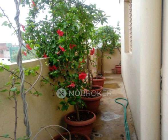 2 BHK Flat In Neelkanth Apartment 2 For Sale  In Burari