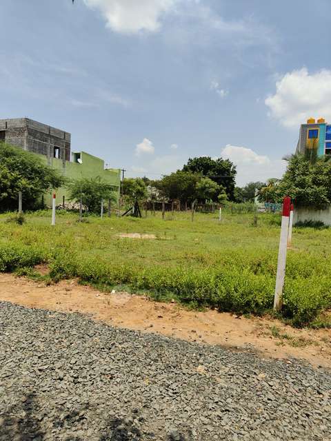 Plot For Sale  In Chinnanolambur