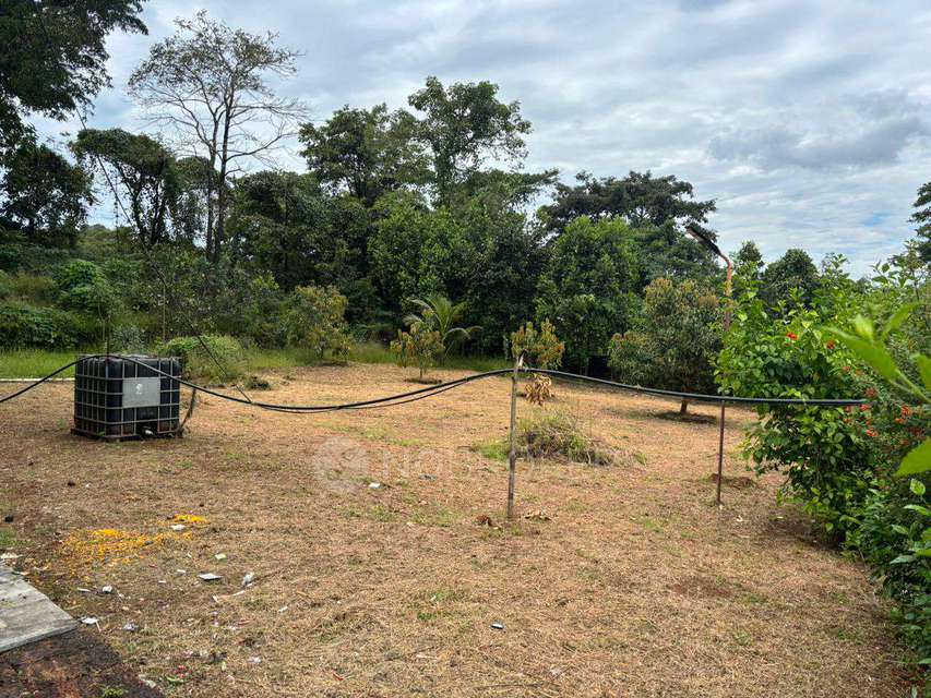 Plot For Sale  In Na In Vasai East