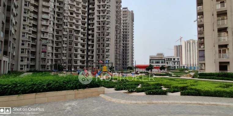 3 BHK Flat In Sri Radha  for Rent  In Sector 16b