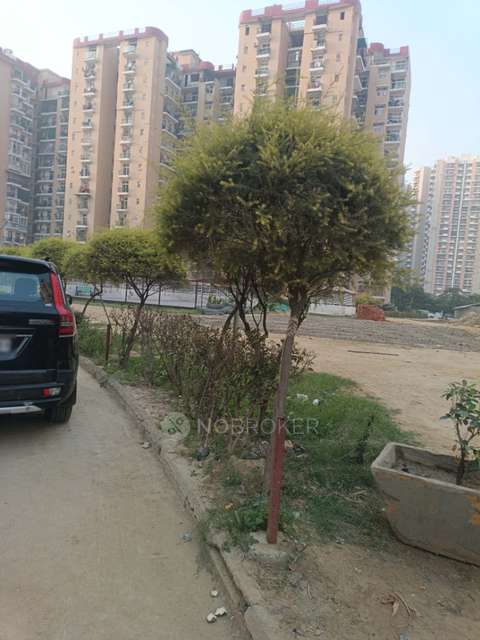 2 BHK Flat In Amrapali Zodiac For Sale  In Sector - 120