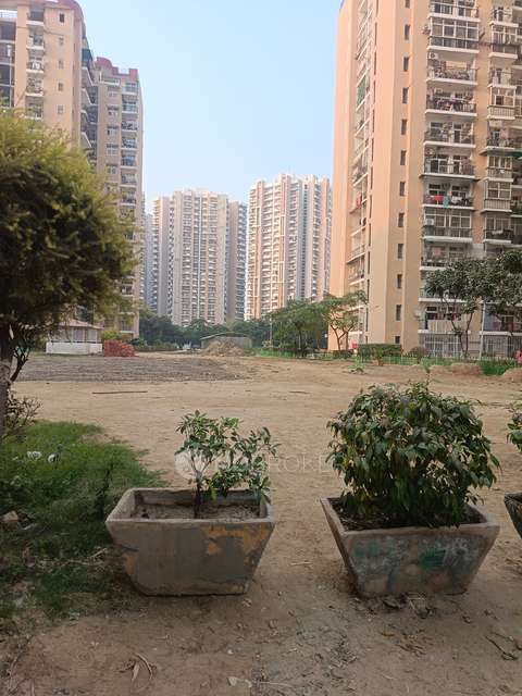 2 BHK Flat In Amrapali Zodiac For Sale  In Sector - 120