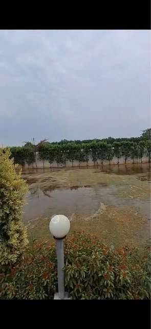 Plot For Sale  In Csb Greens  In Omaxe World Street