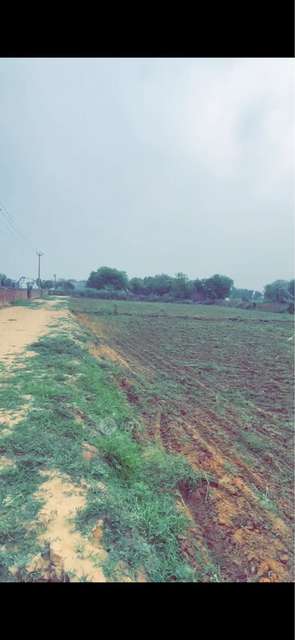 Plot For Sale  In Csb Greens  In Omaxe World Street