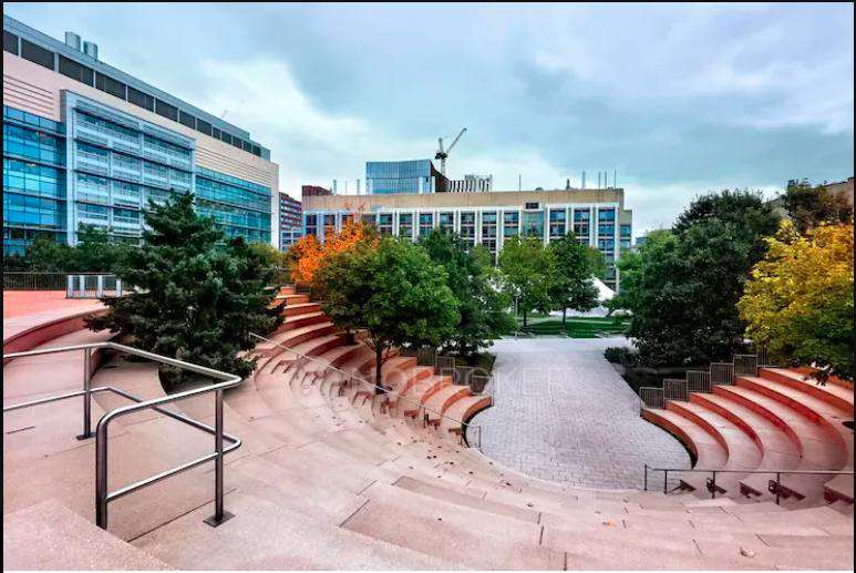 1 BHK Flat In Sattva Vasanta Skye For Sale  In Devanahalli