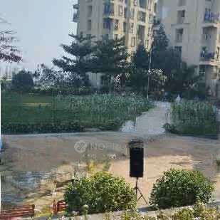 2 BHK Flat In Hinjawadi Hills Phase 2 For Sale  In Hinjewadi 